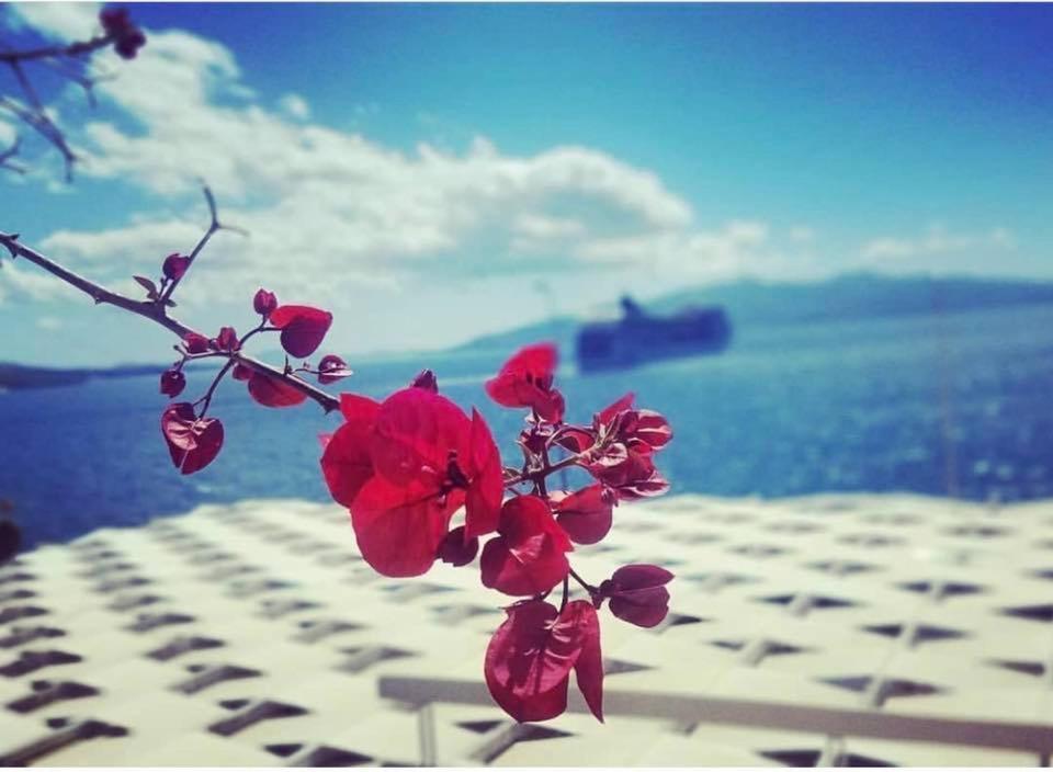 Hotel Erdano Sarandë エクステリア 写真